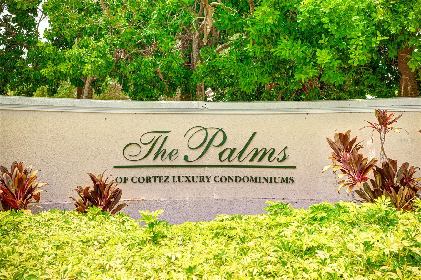 THE PALMS OF CORTEZ - Residential