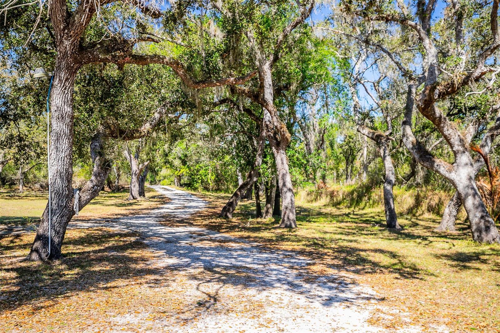 MYAKKA SUB - Residential