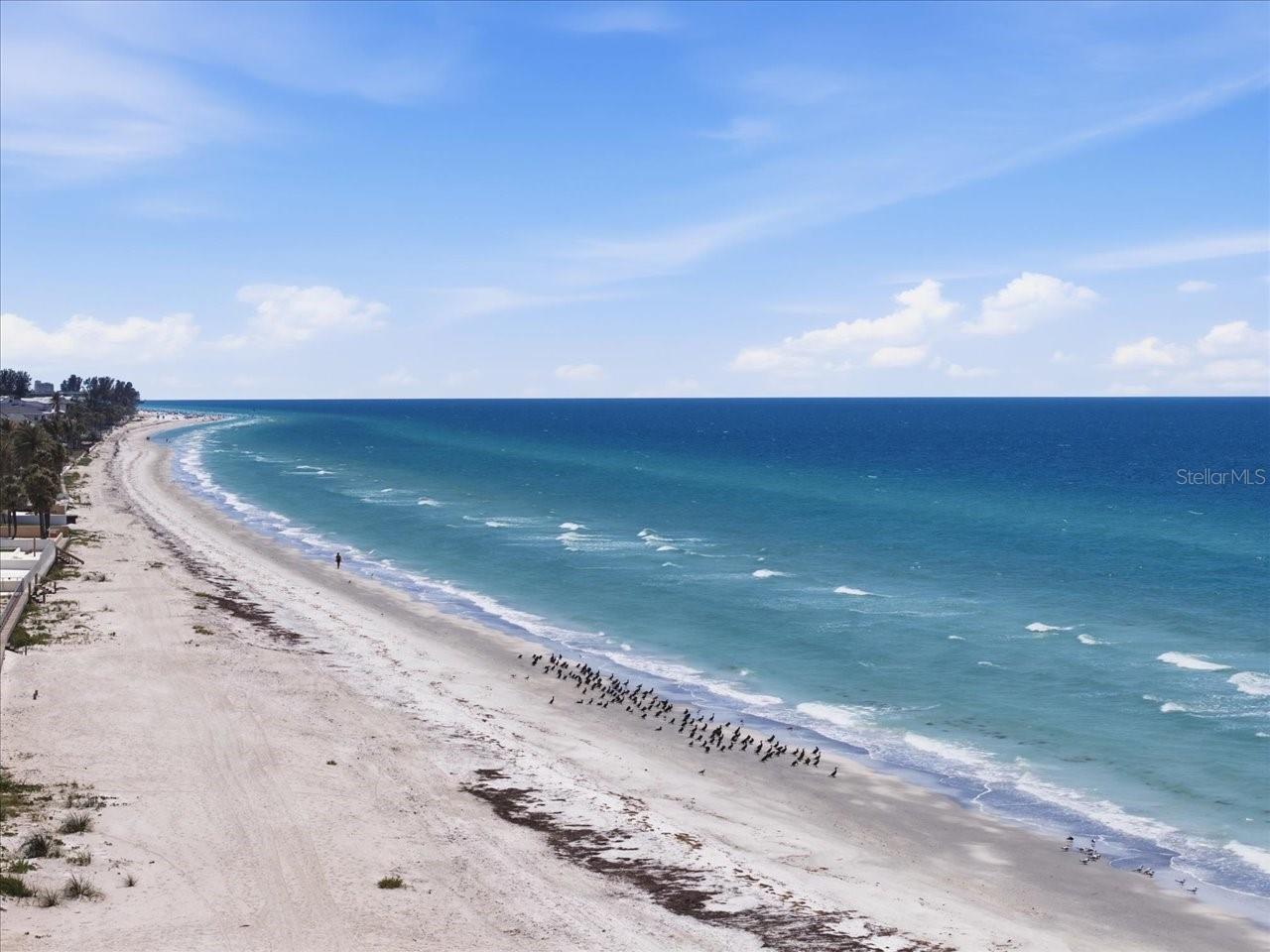 BELLEAIR BEACH - Residential