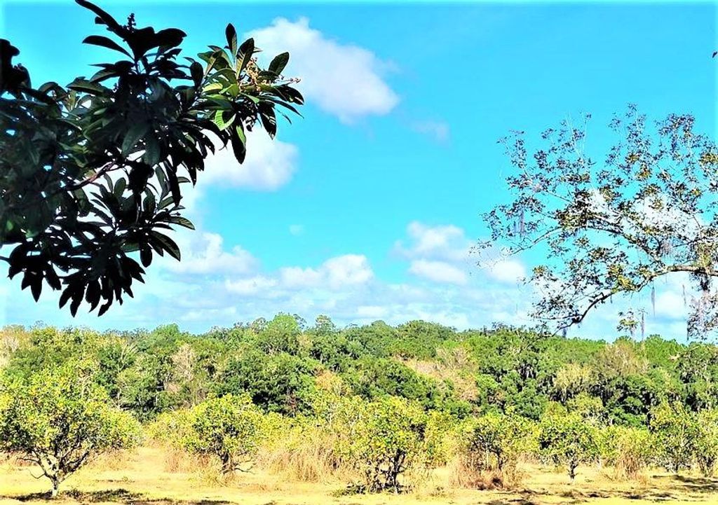 Photo of 0 North Avenue W, Brooksville, FL 34601 (MLS # W7863014)