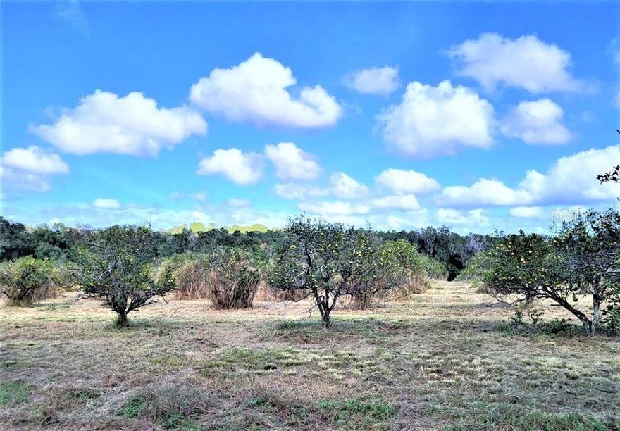 INVESTORS LOOK! This beautiful high and dry acreage with paved road frontage in the city limits of Brooksville offers stunning hilltop views of the surrounding landscape. The front portion of the property is planted in citrus trees, and the back portion is wooded with a variety of nice hardwoods. This awesome property may not currently be a thriving orange grove, but the potential uses for this 19.4 acres are numerous. The acreage is zoned R1A with the city of Brooksville, and the city confirmed that the acreage can be subdivided into multiple lots, with access to city water and sewer. Parcels this size in the city are few and far between, and this is truly a rare and special opportunity for a new owner.
