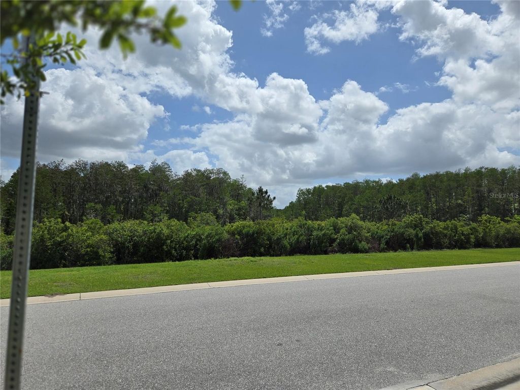 Photo of 4543 Storytelling Way, Kissimmee, FL 34746 (MLS # O6395673)