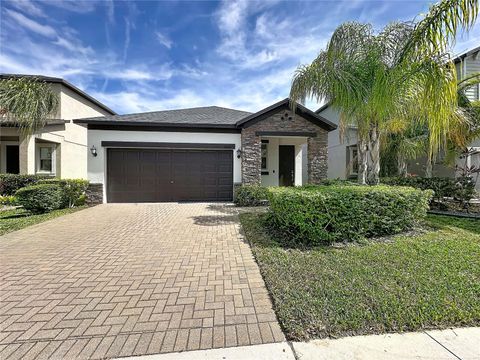 9633 IVORY DRIVE RUSKIN FL 33573