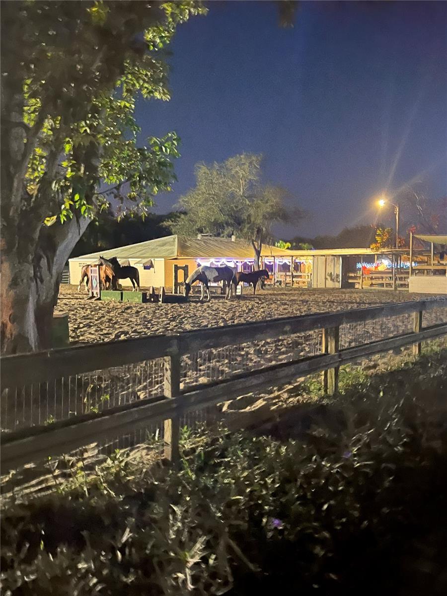 PINELLAS GROVES - Residential