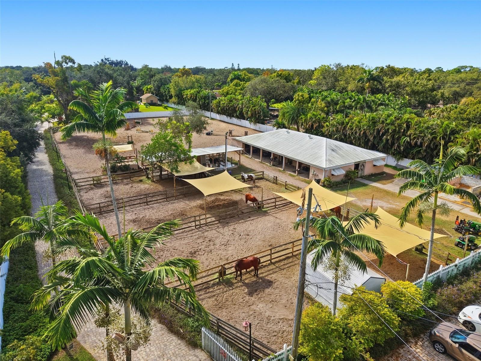 PINELLAS GROVES - Residential