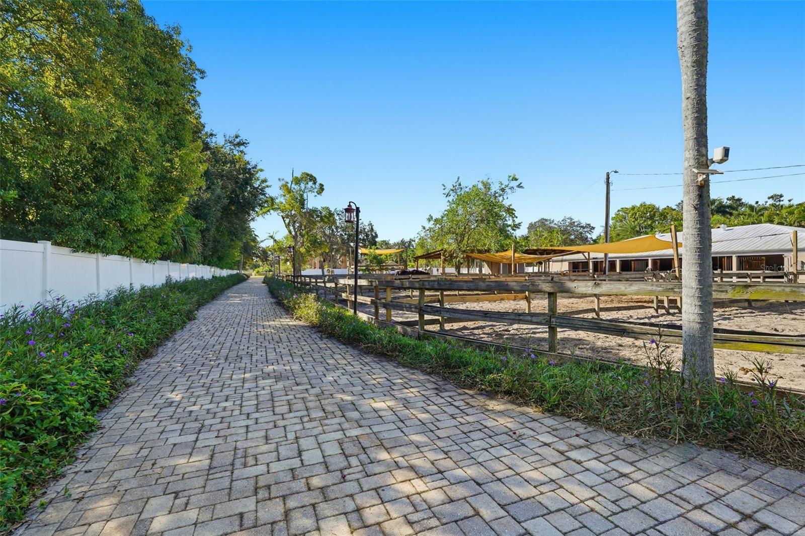 PINELLAS GROVES - Residential