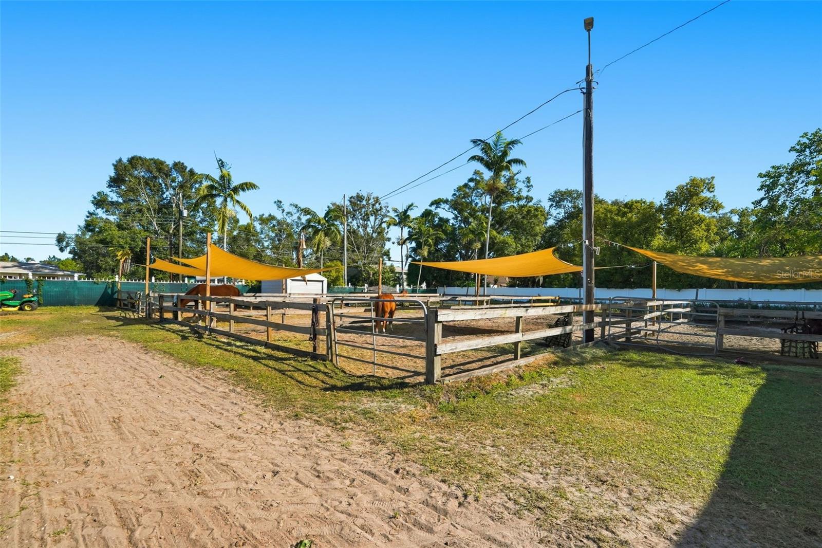 PINELLAS GROVES - Residential