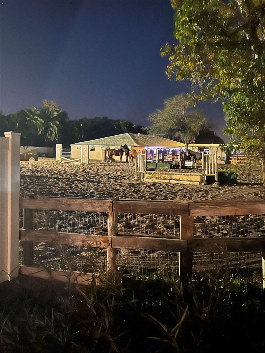 PINELLAS GROVES - Residential