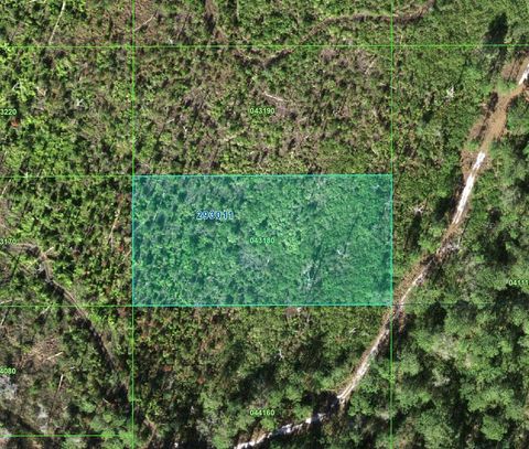 TIGER RD LAKE WALES FL 33898