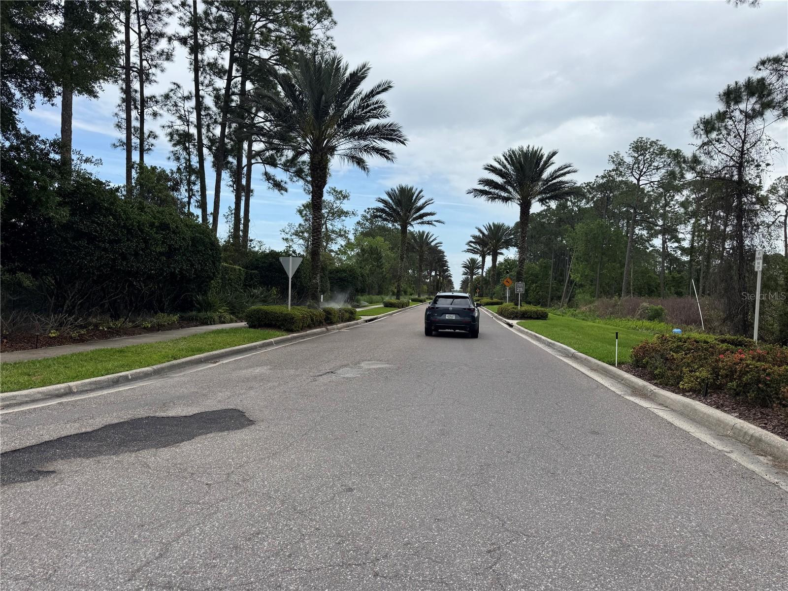 GROVE RESORT - Residential