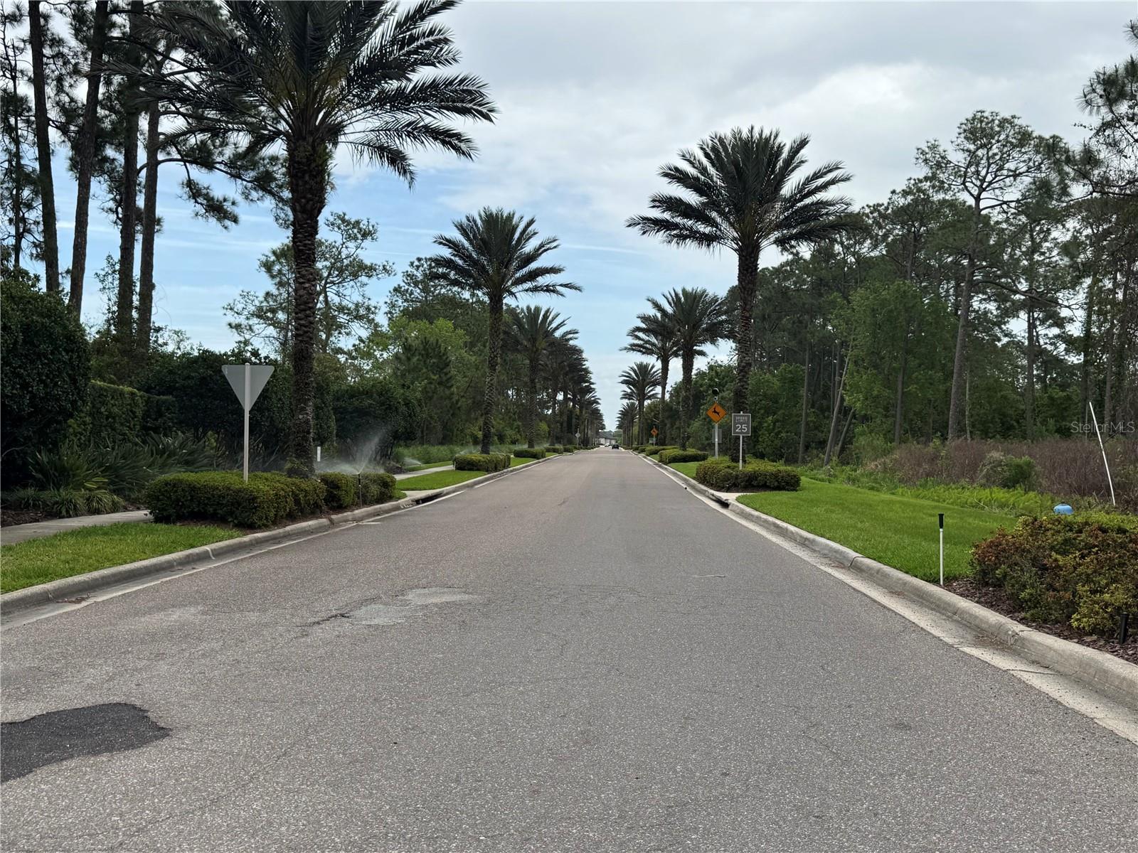 GROVE RESORT - Residential