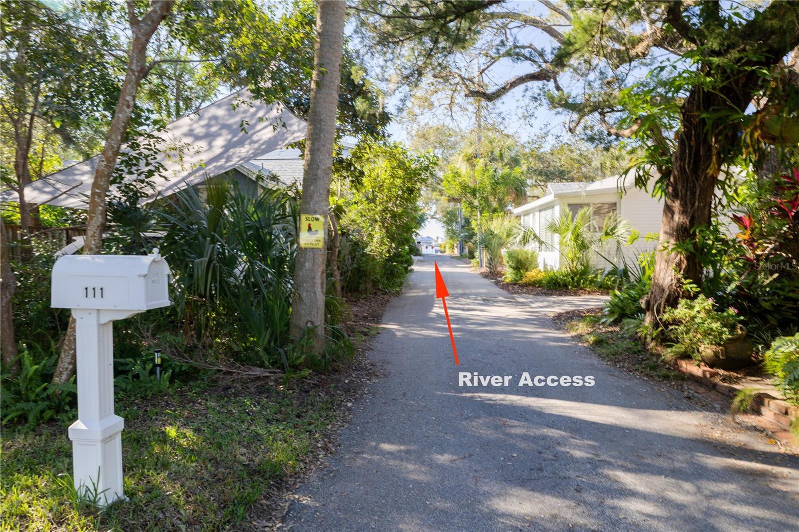 111 ESTHER STREET