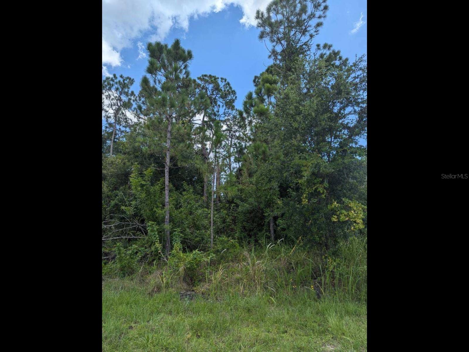 PORT CHARLOTTE SUB 48 - Land