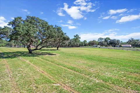 A home in HOMOSASSA