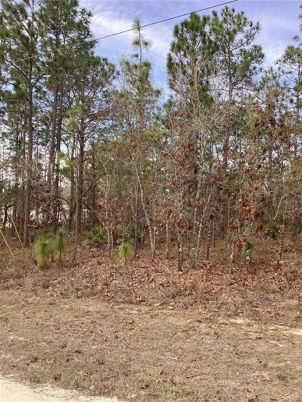 Photo of 0 Chickadee Road, Weeki Wachee, FL 34614 (MLS # TB8471437)