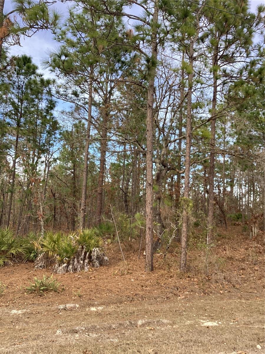 ROYAL HIGHLANDS - Land