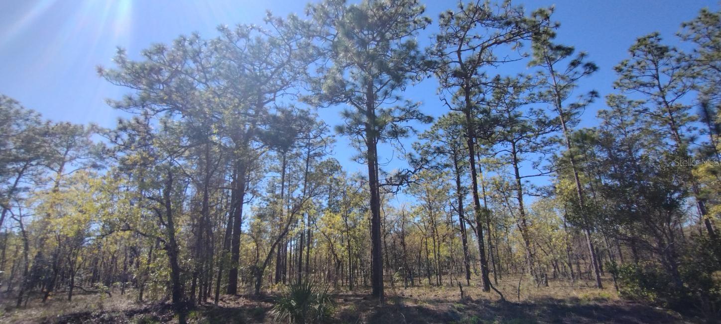 RAINBOW LAKES ESTATE - Land