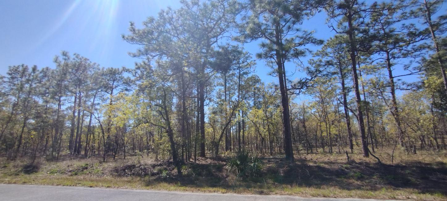 RAINBOW LAKES ESTATE - Land