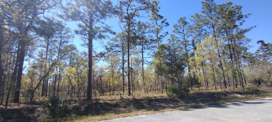 PRIVATE, HIGH AND DRY, BUILDING LOT WITH PAVED ROADS ALL AROUND! Located in Rainbow Lakes Estates which is the fantastic location in Dunnellon Florida to Live, Work or Play. SITE BUILT HOMES only, NO MOBILE HOMES.  Plenty of Lakes nearby, Grocery Stores in local Proximity and Lots of New Development bringing in more infrastructure to the area. This is (1) of (2) Lots nearby being sold by the same owner. Buy this lot or buy both to hold as an investment or build the home of your dreams in the Sunshine State on this land. https://www.pa.marion.fl.us/patviewer/?PARCEL=1814-010-043