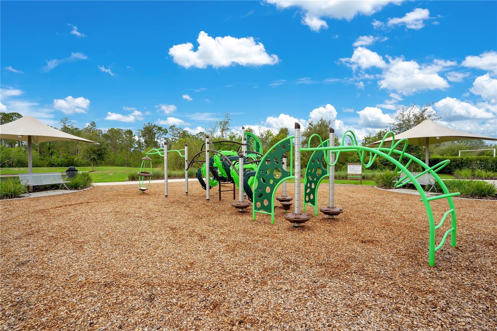 SERENOA VILLAGE 2 PH 1B-1 - Residential