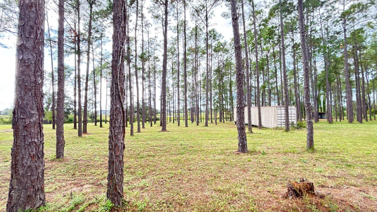 ARROWTREE II SUB - Residential Lease