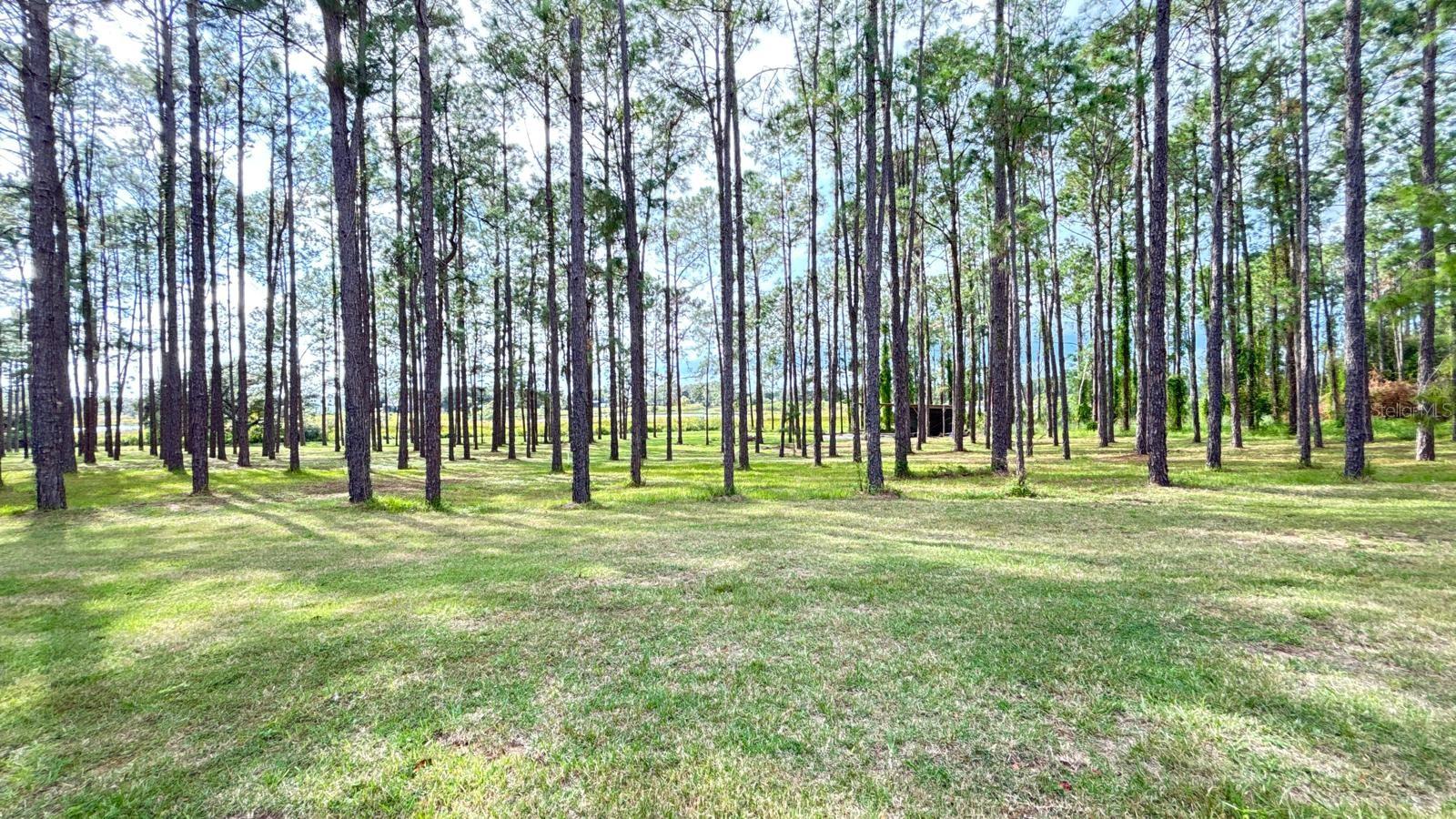 ARROWTREE II SUB - Residential Lease