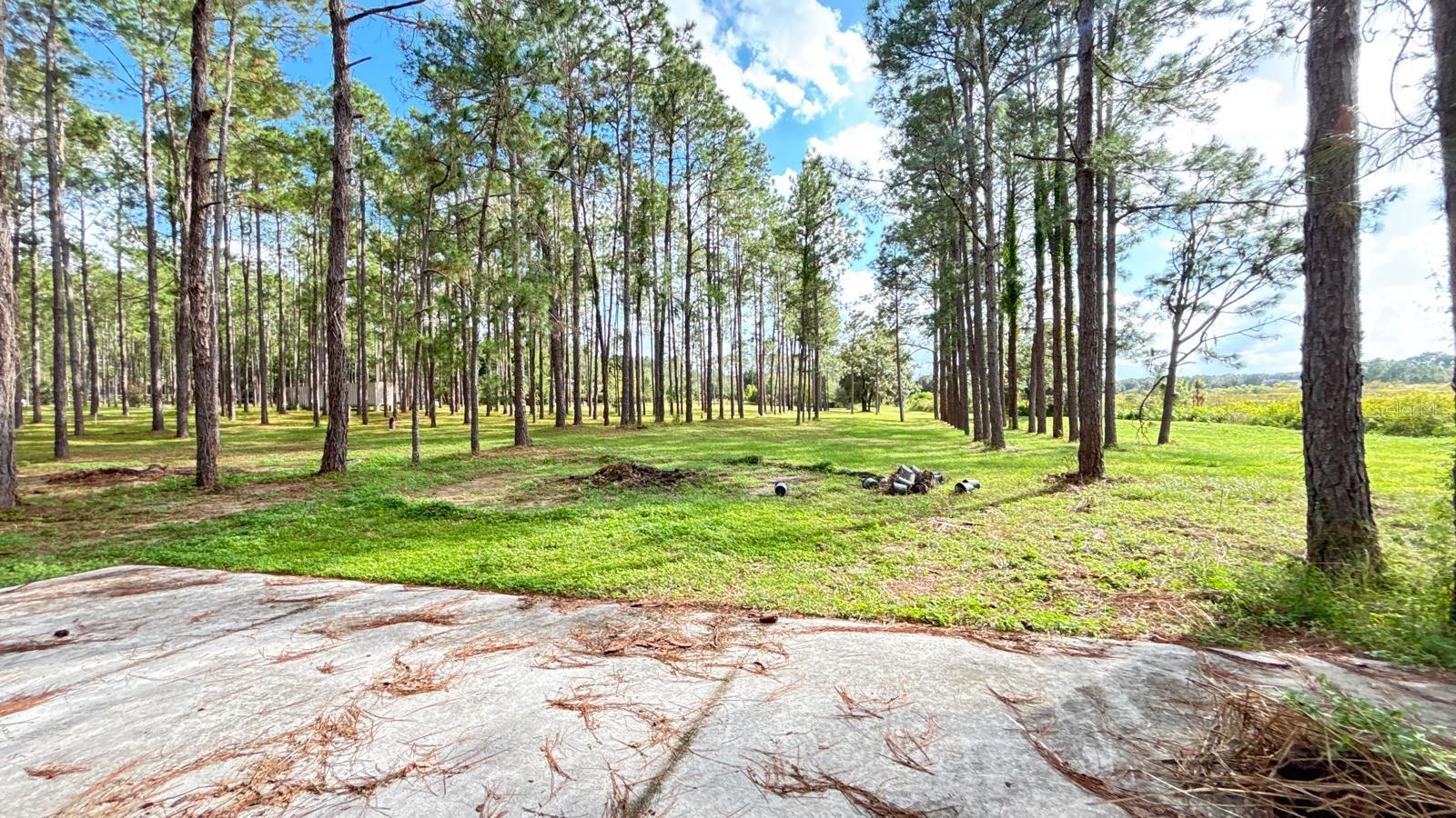 ARROWTREE II SUB - Residential Lease