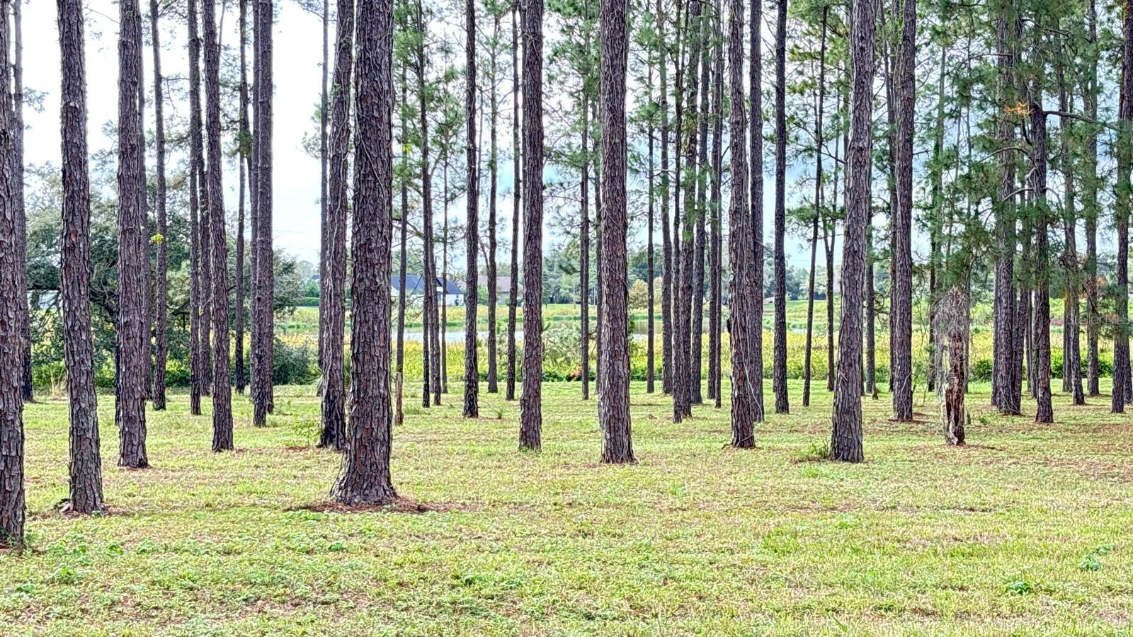 ARROWTREE II SUB - Residential Lease