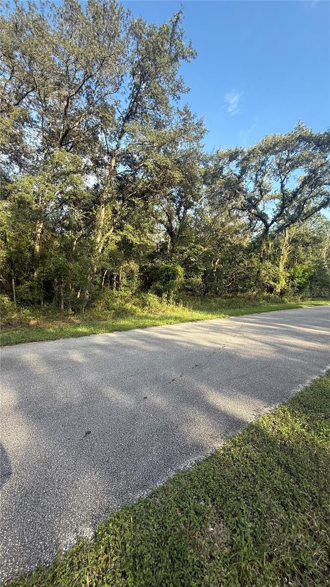 TBD SW WILLOW RD EXT