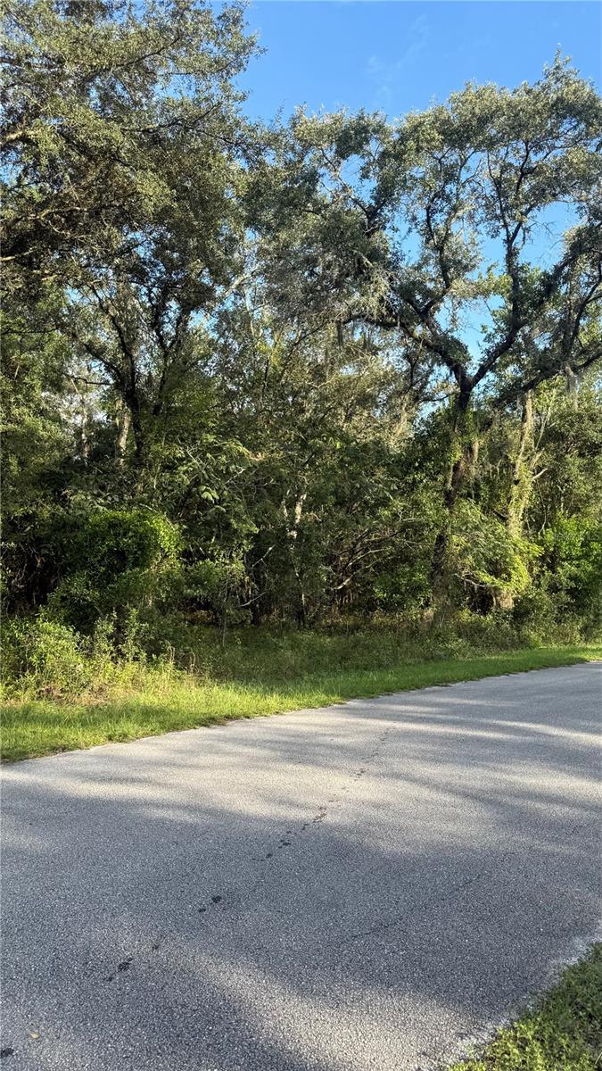 TBD SW WILLOW RD EXT