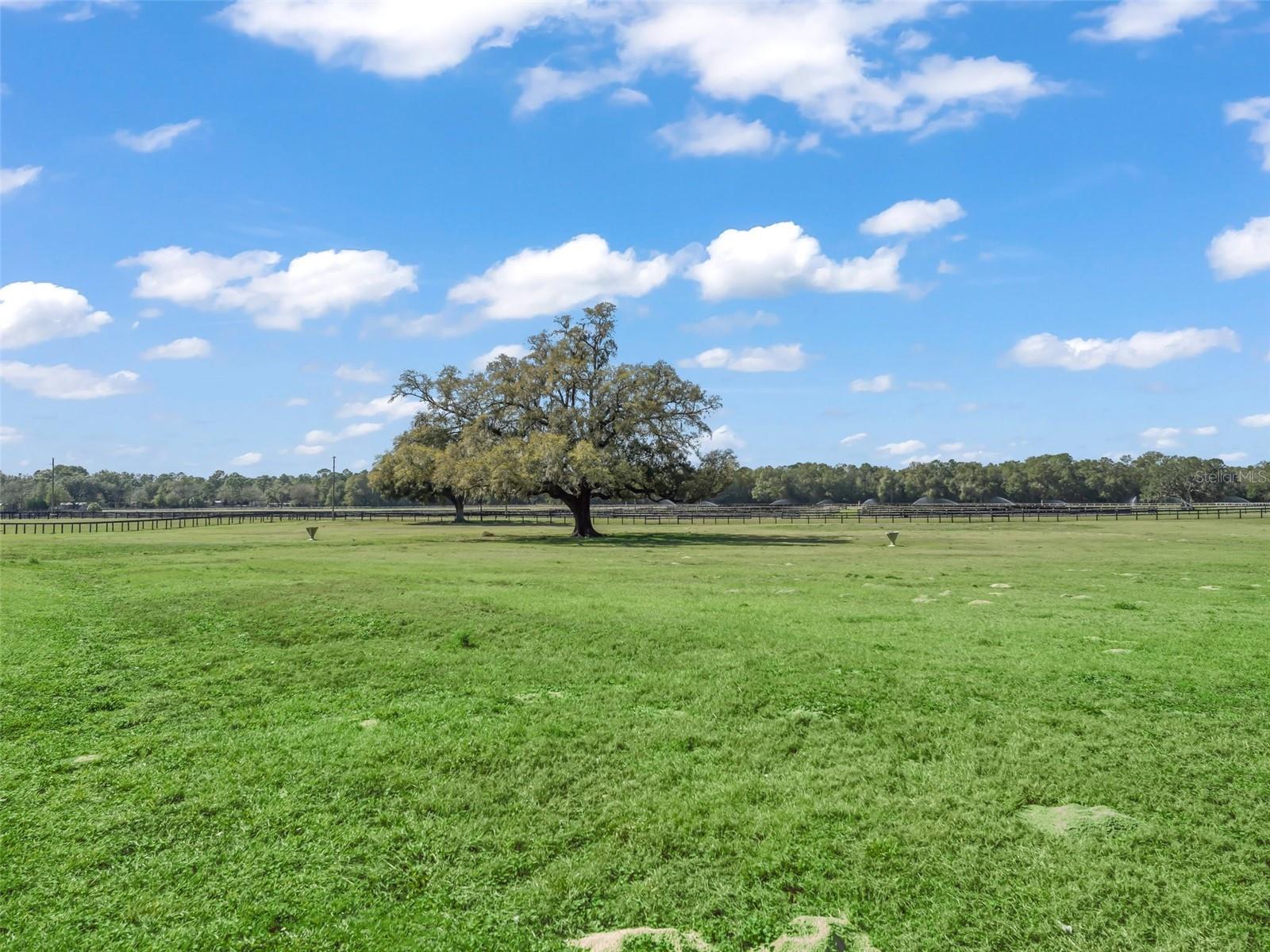 SMOKE HOLLOW FARM - Farm