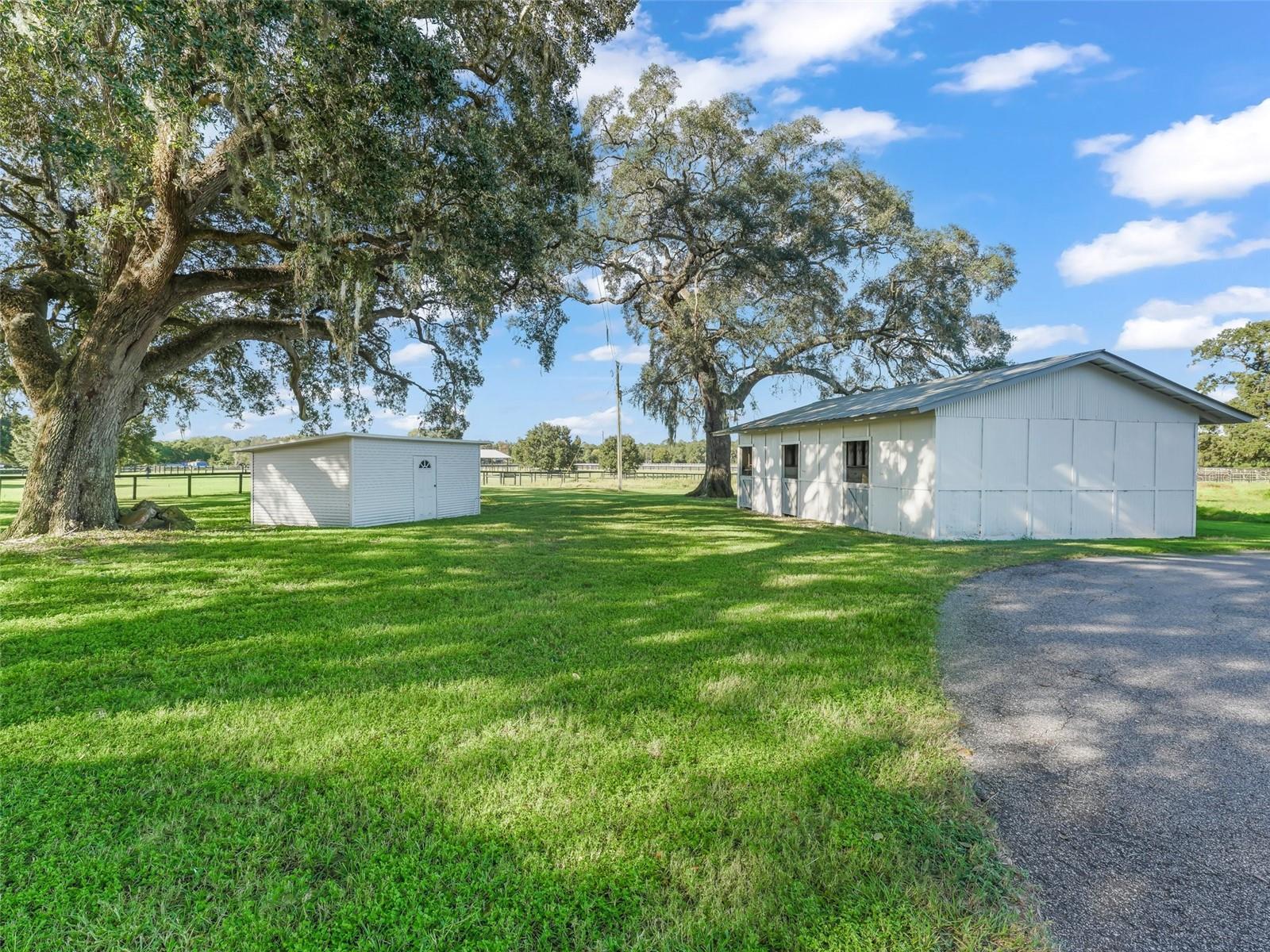 SMOKE HOLLOW FARM - Farm