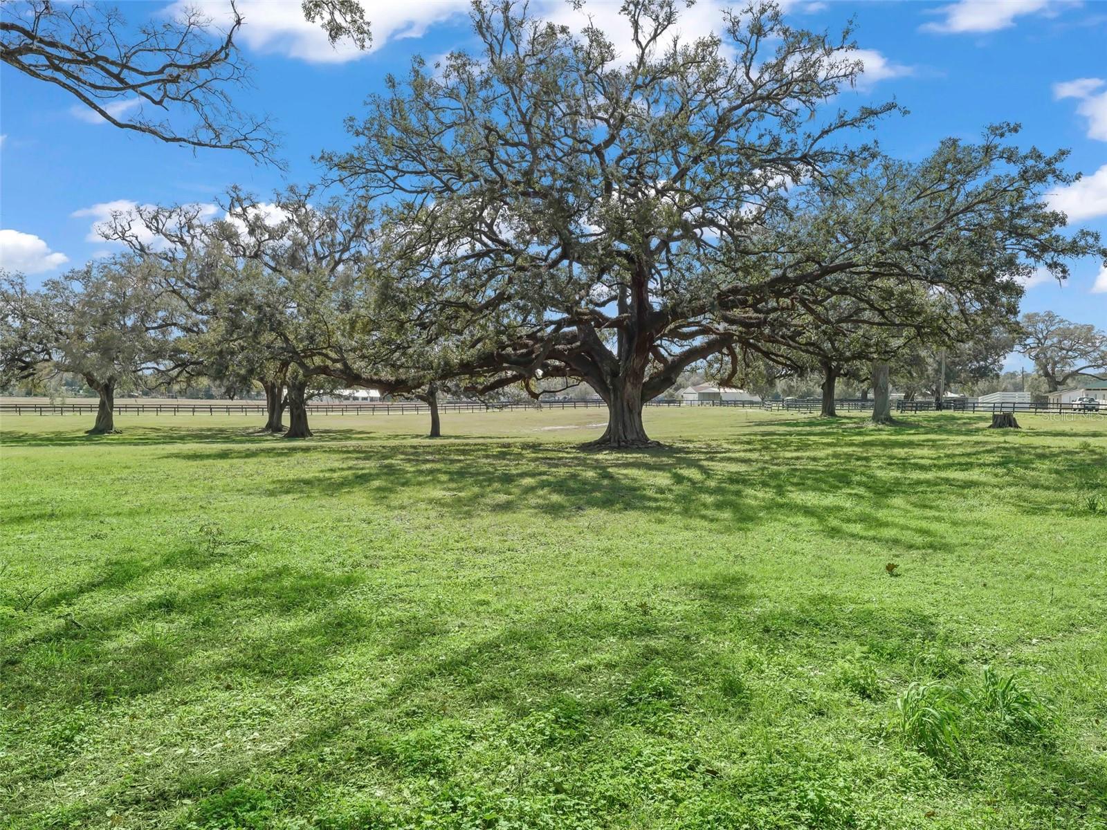 SMOKE HOLLOW FARM - Farm