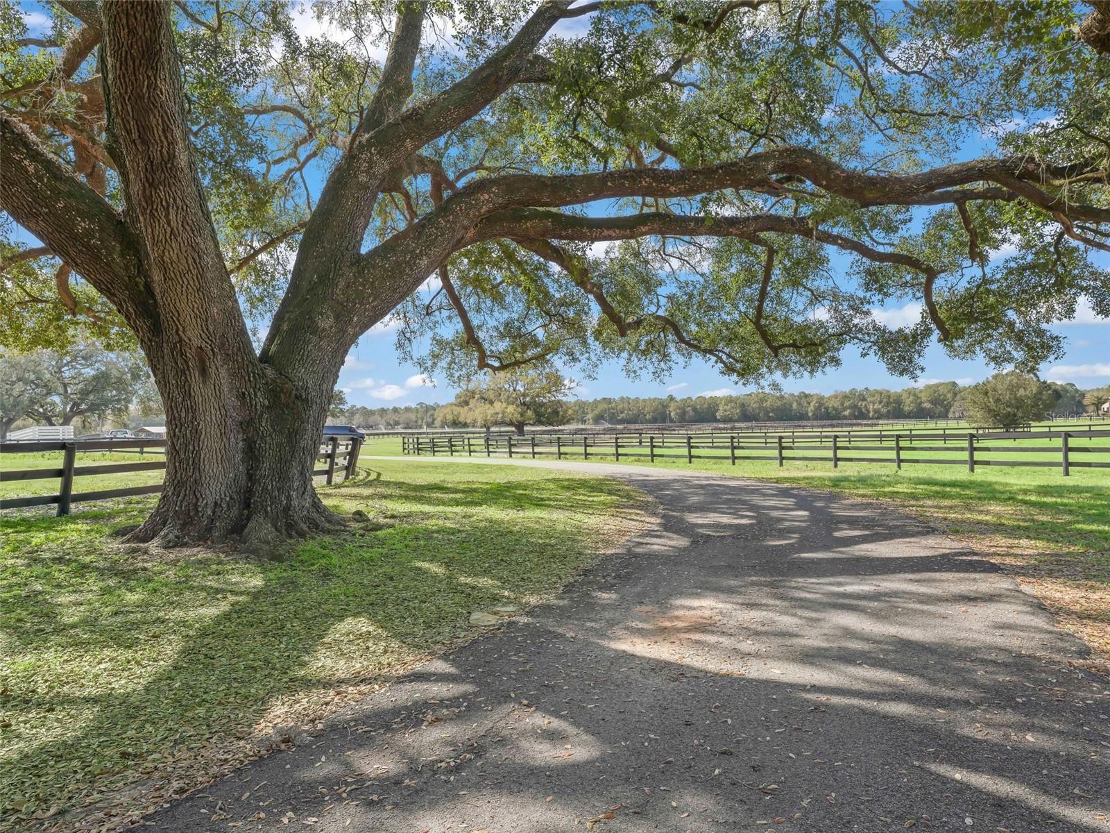 SMOKE HOLLOW FARM - Farm