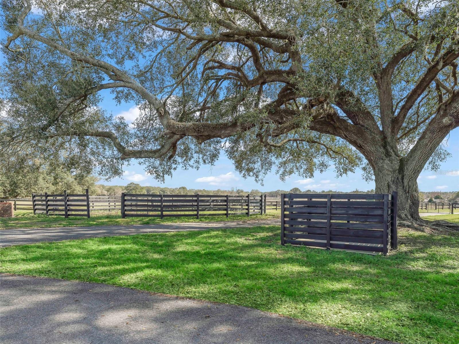 SMOKE HOLLOW FARM - Farm