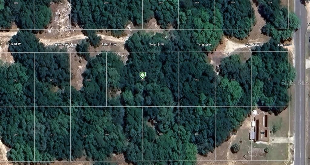 Photo of 2805 Tyler Street W, Inverness, FL 34453 (MLS # A4667094)