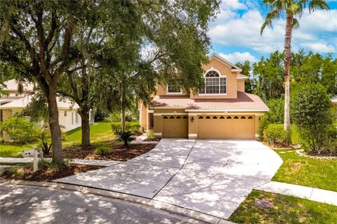 A home in TAMPA