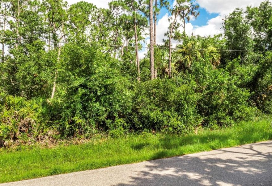 Come check out this ideally located lot in Port Charlotte that could become your dream SWFL home! This lot is conveniently located close to plenty or dining, shopping and entertainment. The Sunseeker Resort, Charlotte County Fairgrounds, Tampa Bays Stadium, Braves Stadium and the new Do The Beach indoor fun park will be enough to provide year round fun for the whole family. Do you want space for a large workshop? An RV garage? Boat Storage? Well the 2 adjacent lots are also for sale. You can buy 1, 2 or 3 lots to create your dream santuary! Don't miss out on this opportunity!