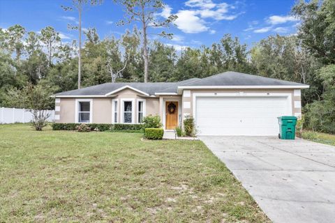 A home in CITRUS SPRINGS