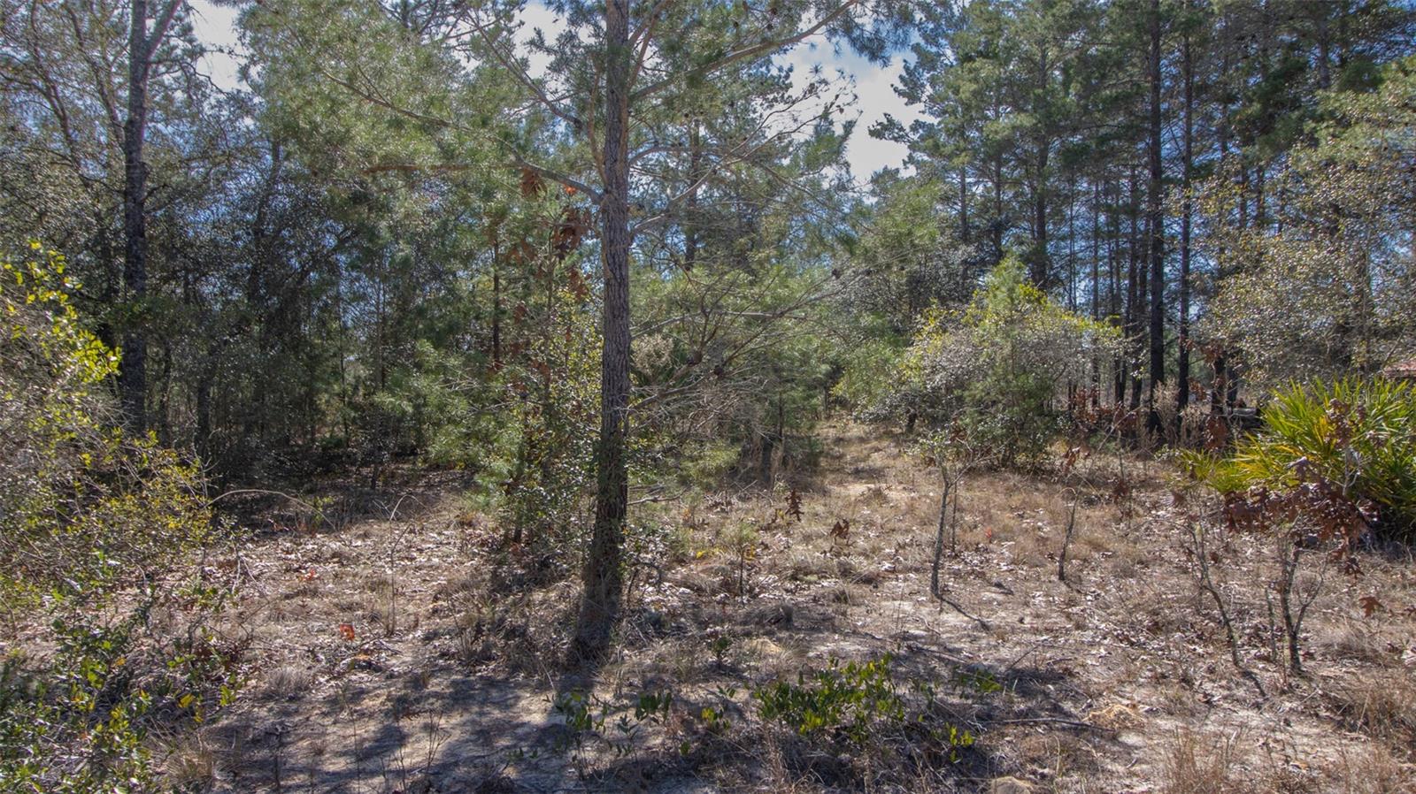 SILVER SANDS ESTATES - Land