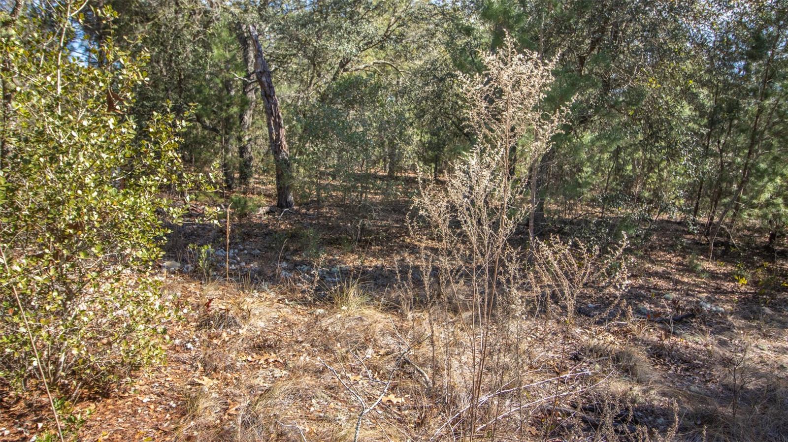 SILVER SANDS ESTATES - Land