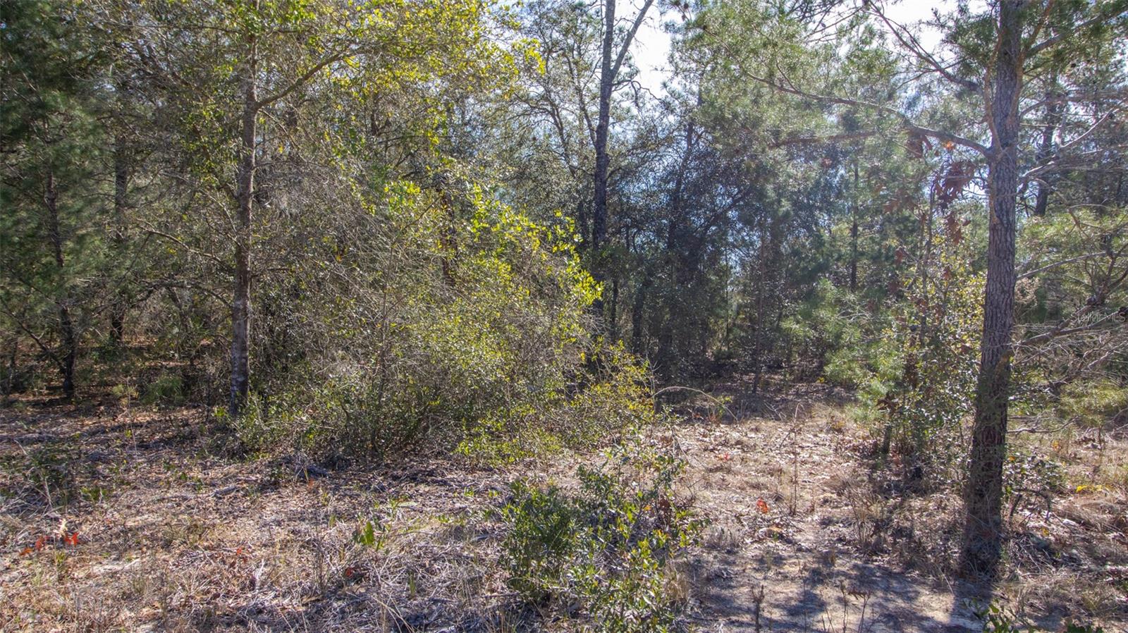 SILVER SANDS ESTATES - Land