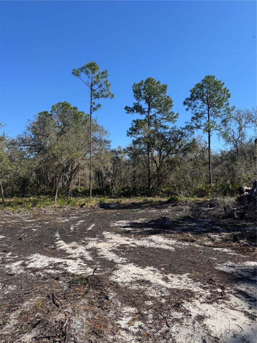 SOUTH SHORE OAKS REP - Land