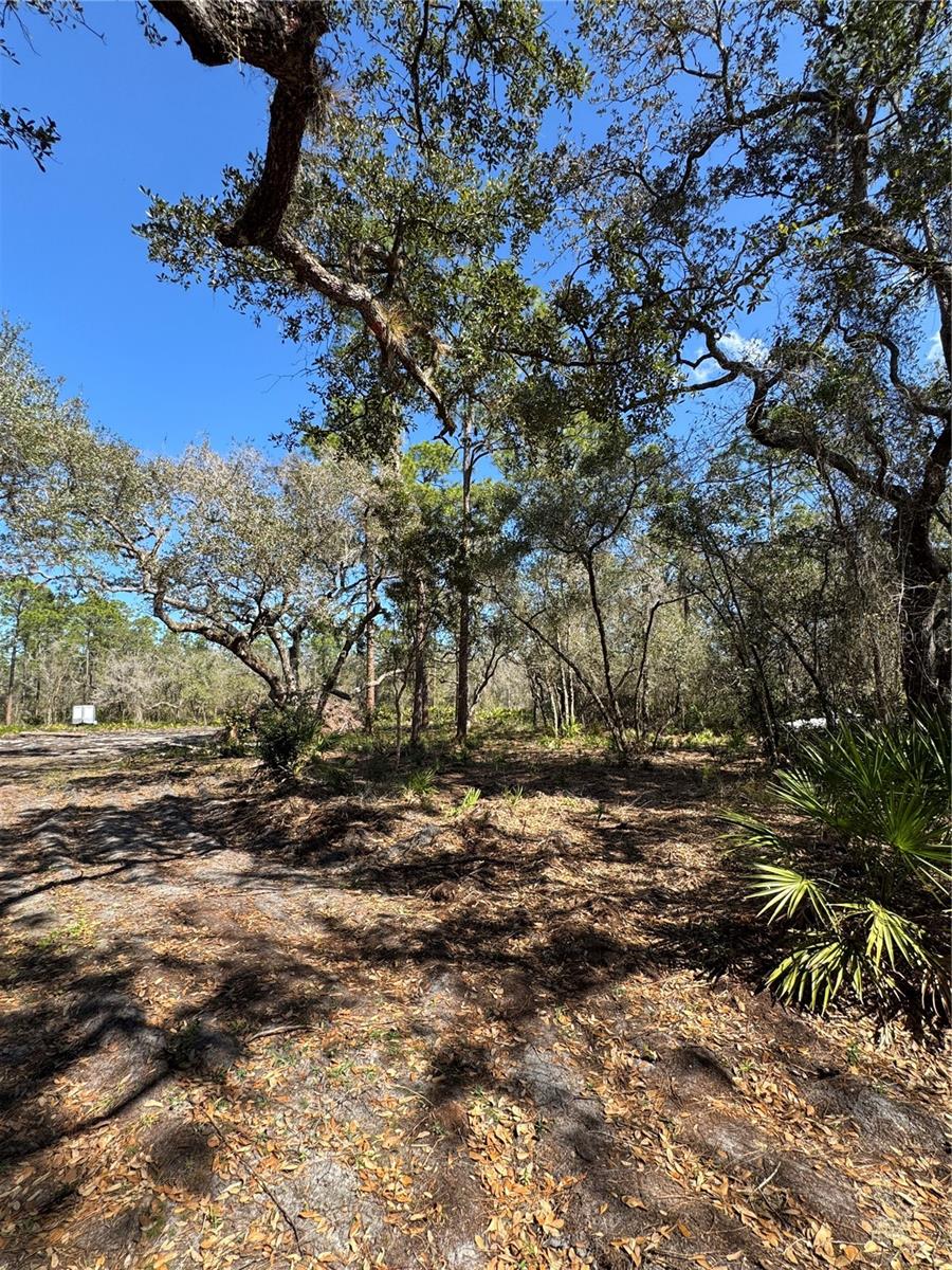 SOUTH SHORE OAKS REP - Land