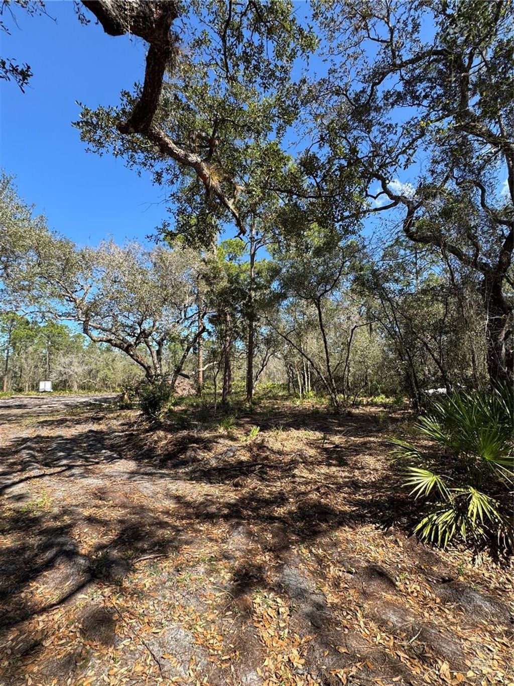 Photo of South Shore Dr, Lake Wales, FL 33898 (MLS # S5144468)