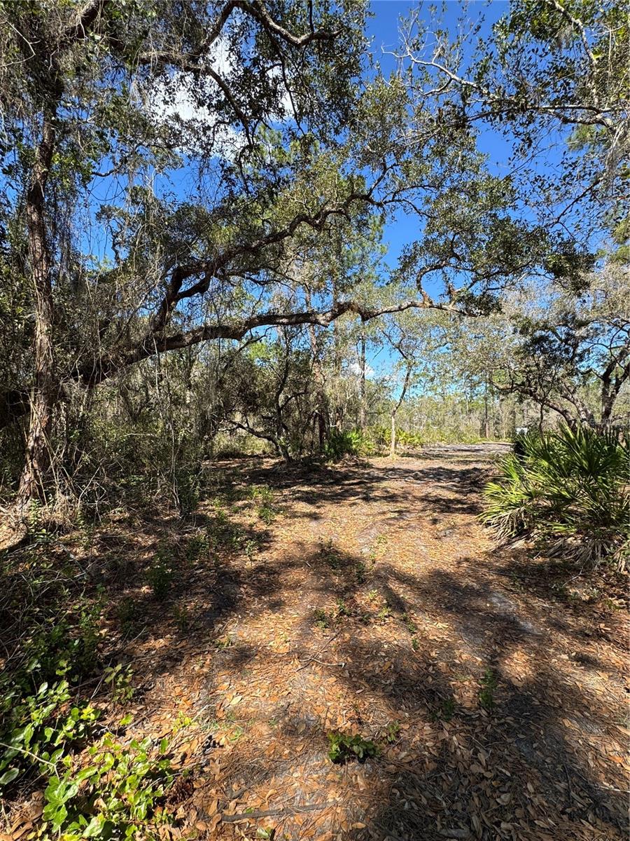 SOUTH SHORE OAKS REP - Land