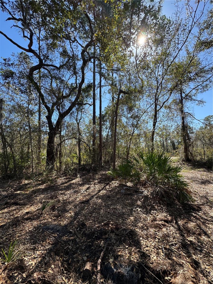 SOUTH SHORE OAKS REP - Land