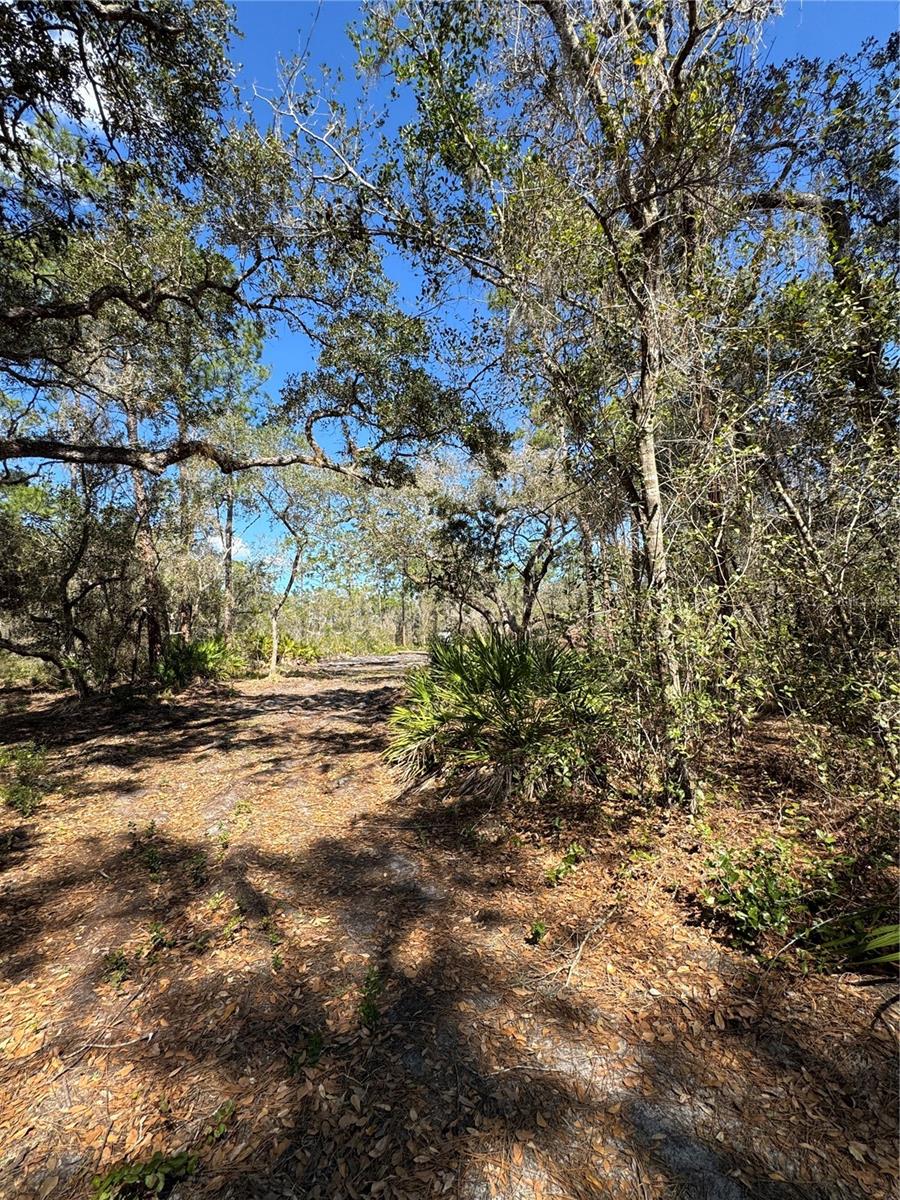 SOUTH SHORE OAKS REP - Land