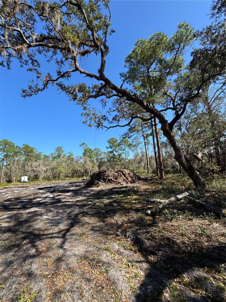 SOUTH SHORE OAKS REP - Land