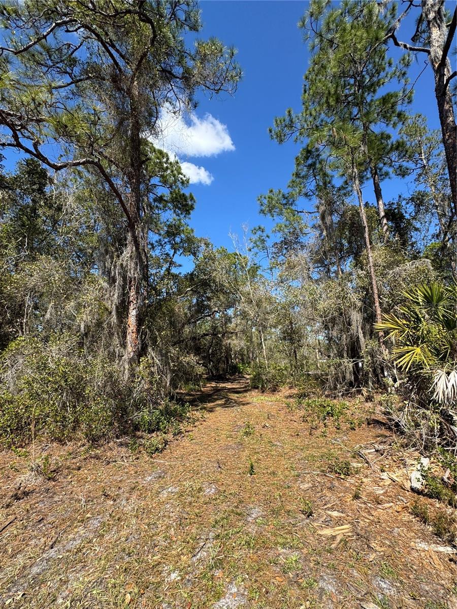 SOUTH SHORE OAKS REP - Land